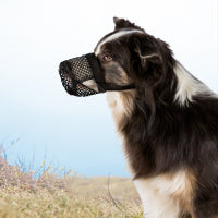 Trixie Museruola Rete Nera Circonferenza Muso 27cm Cinturino Collo 22-46cm Senso.it | Boutique Online